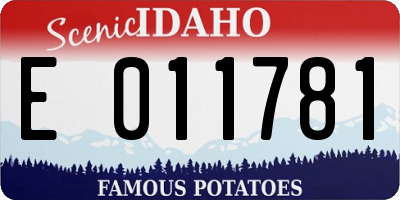 ID license plate E011781