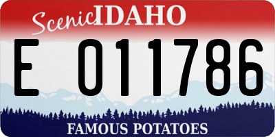 ID license plate E011786