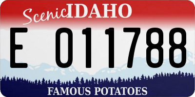 ID license plate E011788
