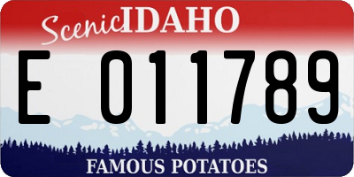ID license plate E011789