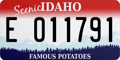 ID license plate E011791