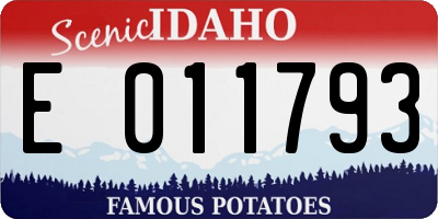 ID license plate E011793