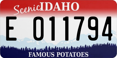 ID license plate E011794