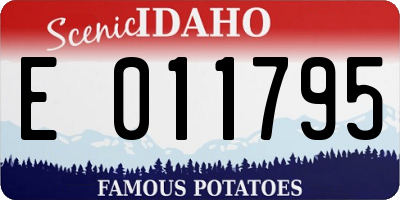 ID license plate E011795