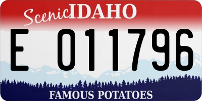 ID license plate E011796