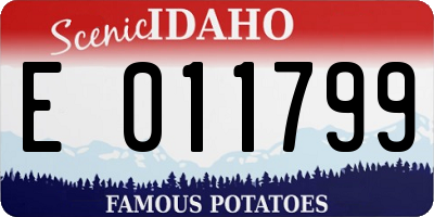 ID license plate E011799