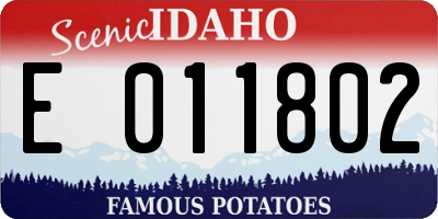 ID license plate E011802
