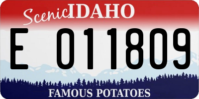 ID license plate E011809