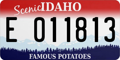 ID license plate E011813