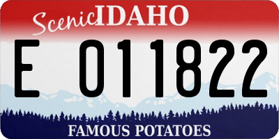 ID license plate E011822