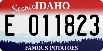 ID license plate E011823