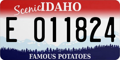 ID license plate E011824