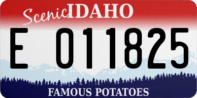ID license plate E011825