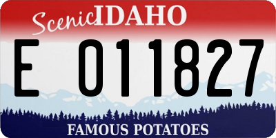 ID license plate E011827