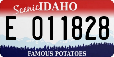ID license plate E011828