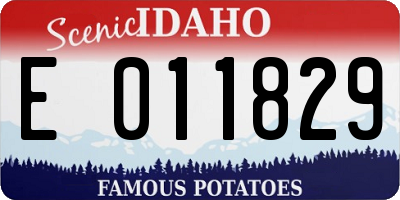 ID license plate E011829