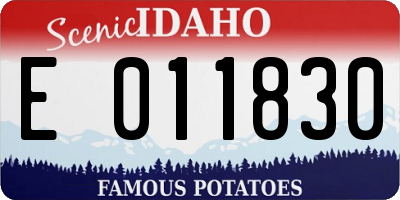 ID license plate E011830