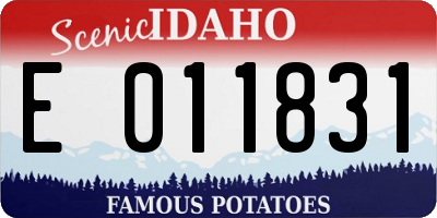 ID license plate E011831