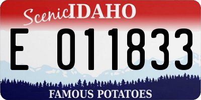 ID license plate E011833