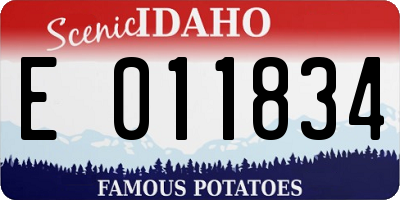 ID license plate E011834