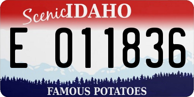 ID license plate E011836