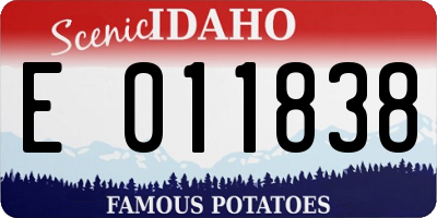 ID license plate E011838