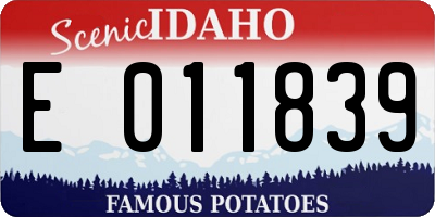 ID license plate E011839