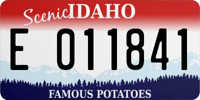 ID license plate E011841