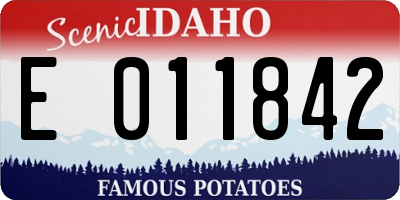 ID license plate E011842