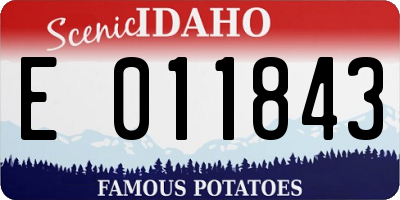 ID license plate E011843