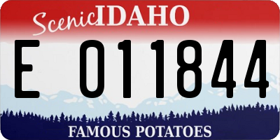 ID license plate E011844