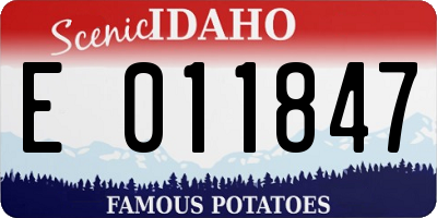 ID license plate E011847