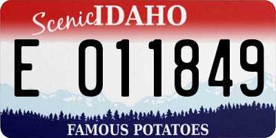 ID license plate E011849