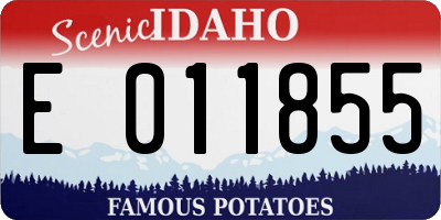 ID license plate E011855