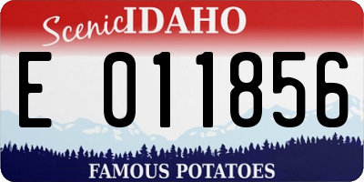 ID license plate E011856