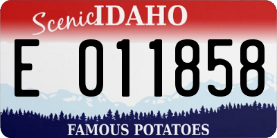 ID license plate E011858