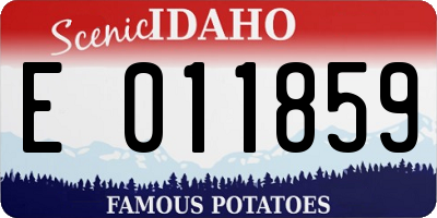 ID license plate E011859