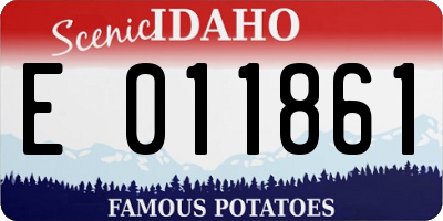ID license plate E011861