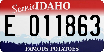 ID license plate E011863