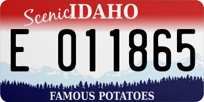 ID license plate E011865