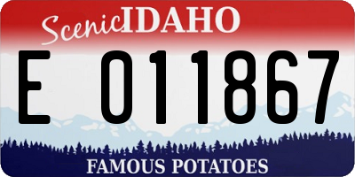 ID license plate E011867