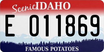 ID license plate E011869