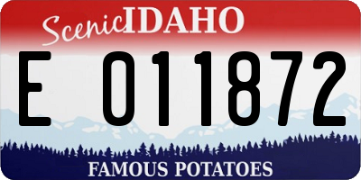 ID license plate E011872