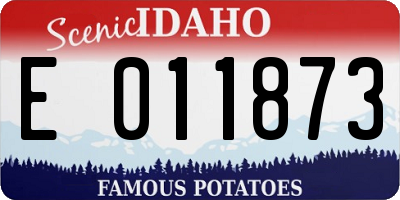 ID license plate E011873