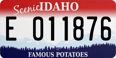 ID license plate E011876