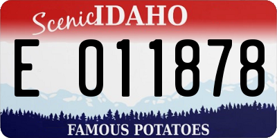 ID license plate E011878