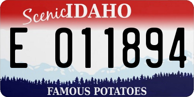 ID license plate E011894
