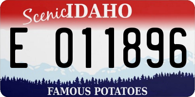 ID license plate E011896