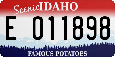 ID license plate E011898