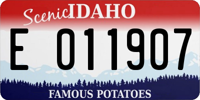 ID license plate E011907